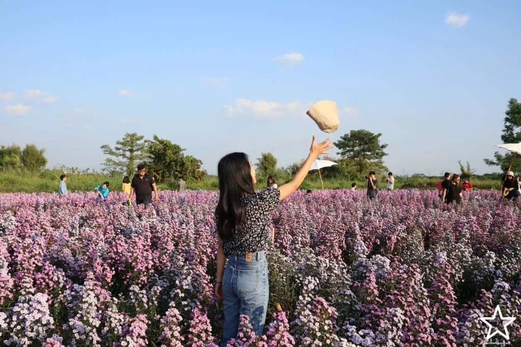 สวนดอกไม้ เชียงใหม่