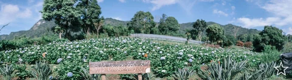 สวนดอกไม้ เชียงใหม่