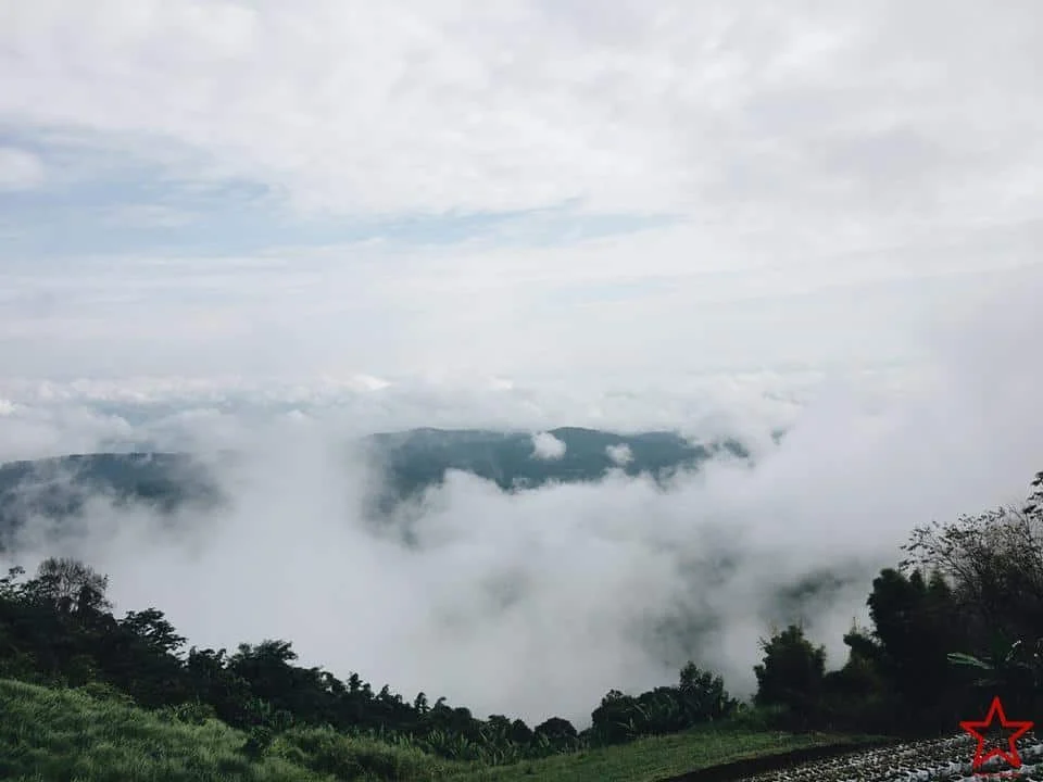 สวนดอกไม้ เชียงใหม่