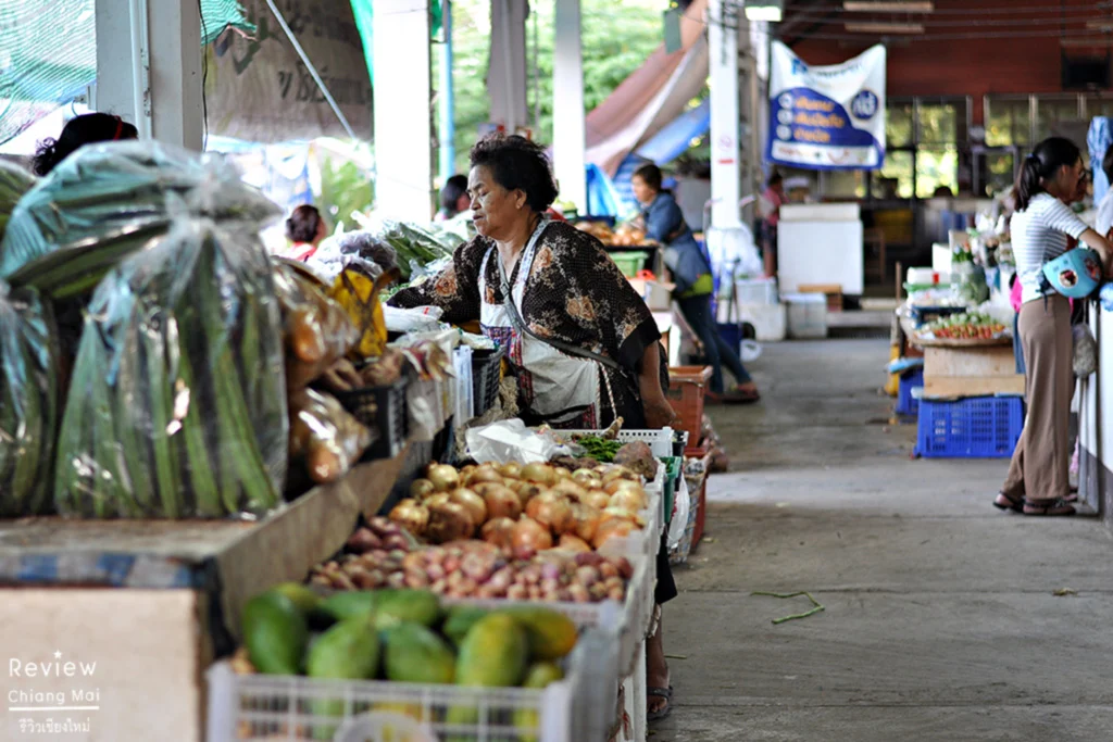 ตลาดปาย, แม่ฮ่องสอน