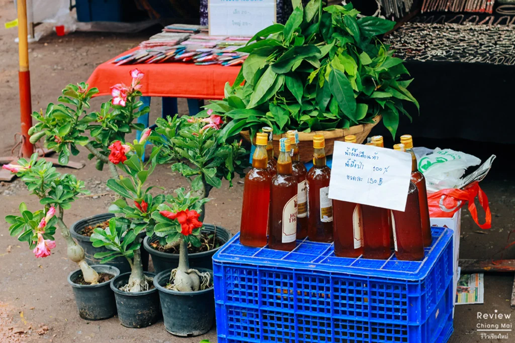 กาดโก้งโค้ง