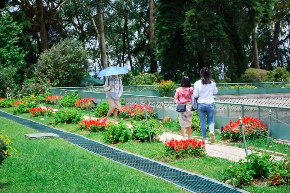 พระตำหนักภูพิงคราชนิเวศน์