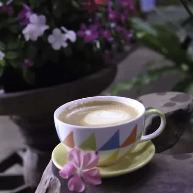 ร้านกาแฟ เชียงใหม่ 