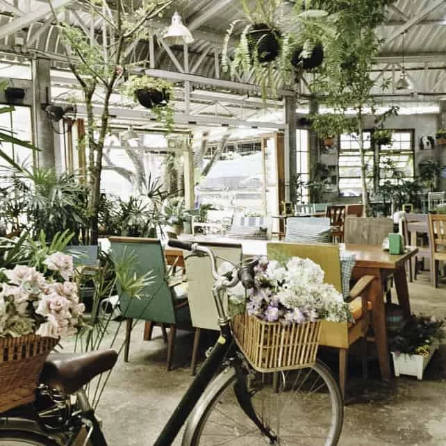 ร้านกาแฟ เชียงใหม่ 