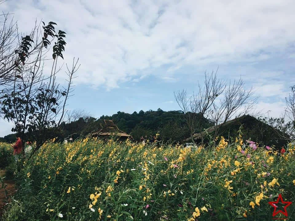 ม่อนแจ่ม