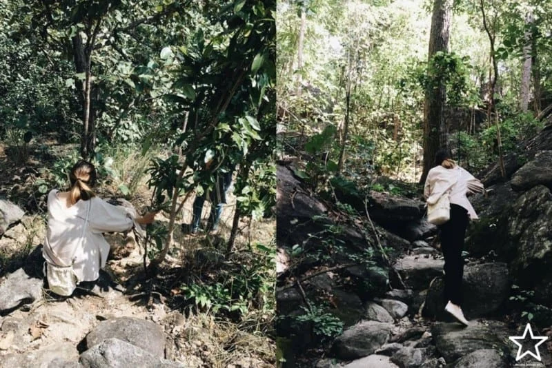 ออบหลวง