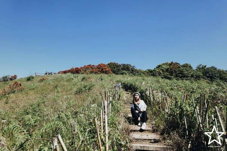 กิ่วแม่ปาน