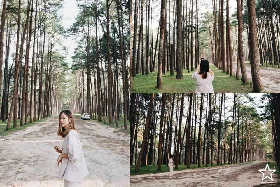 สวนสนบ่อแก้ว