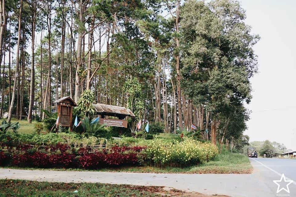 สวนป่าดอยบ่อหลวง