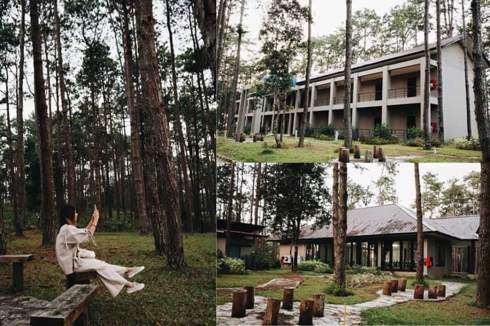 สวนป่าดอยบ่อหลวง