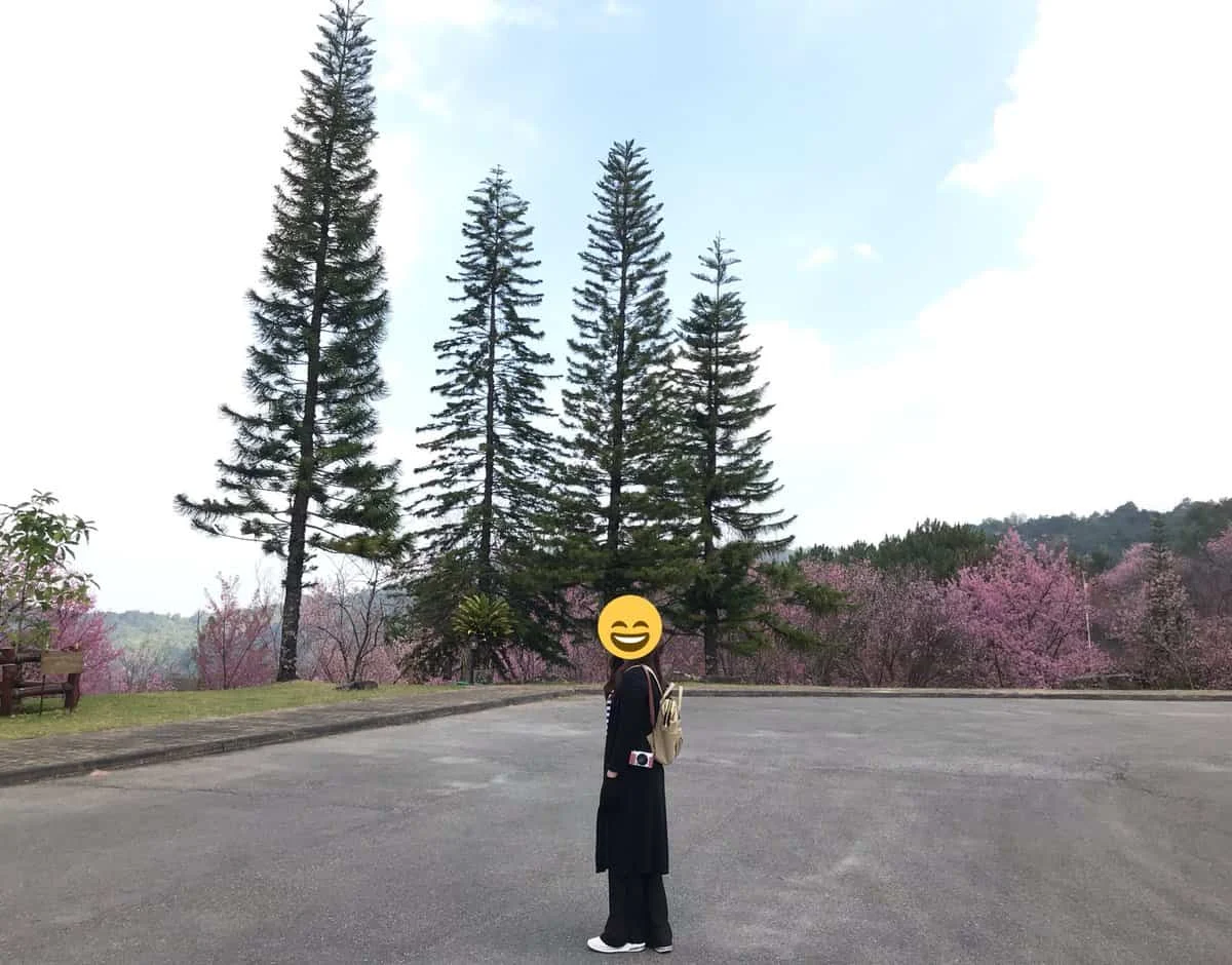 พญาเสือโคร่ง
