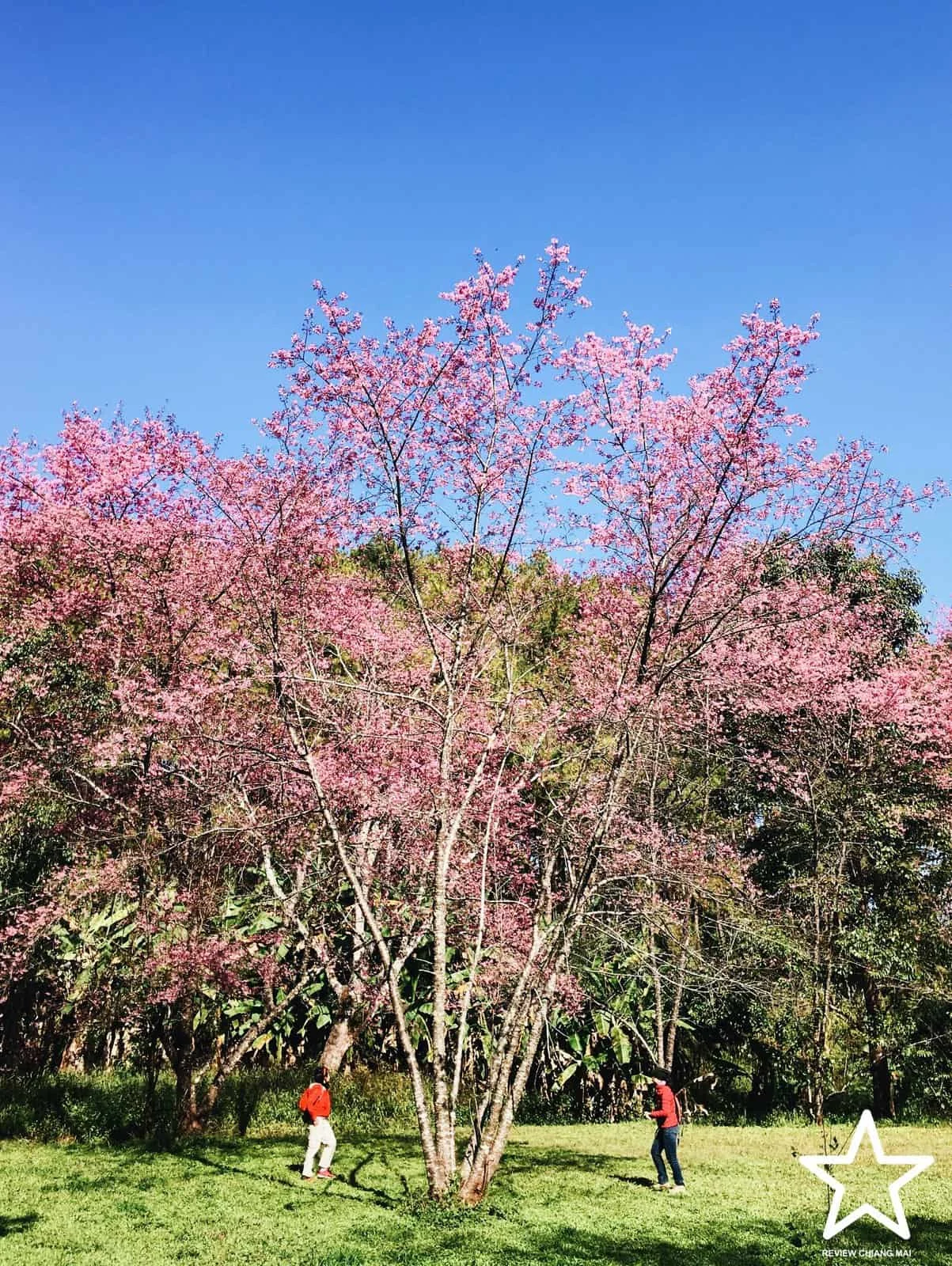 หน่วยพิทักษ์ป่าขุนห้วยแม่กอก