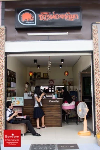 ช้างม่อยชามุก