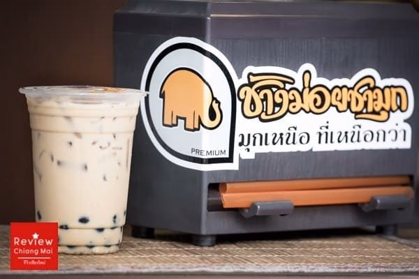 ช้างม่อยชามุก