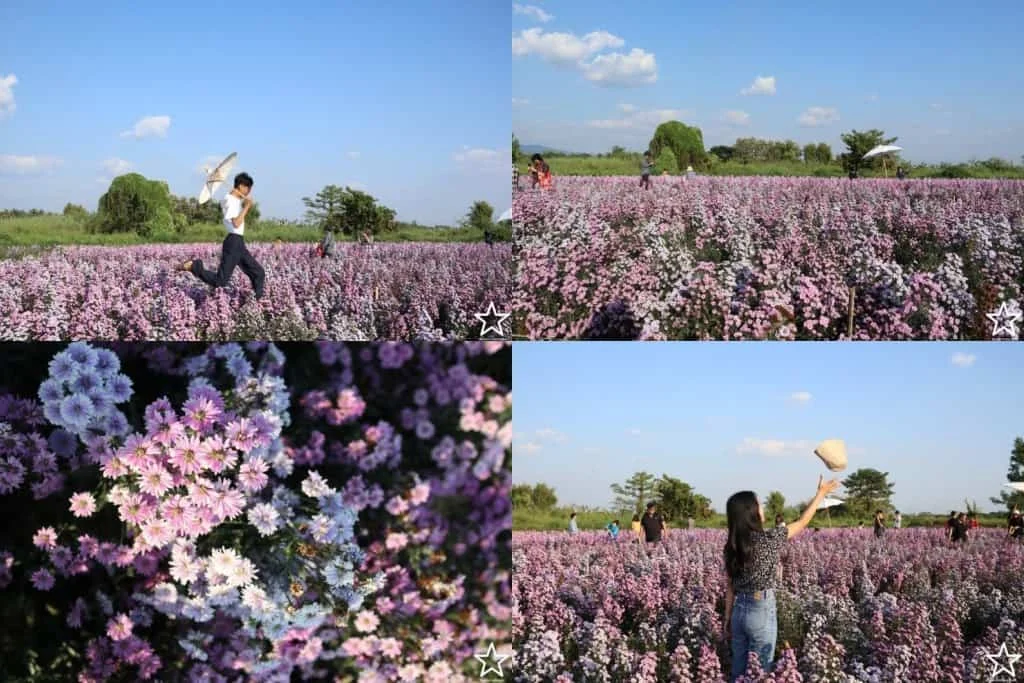 We Flower village