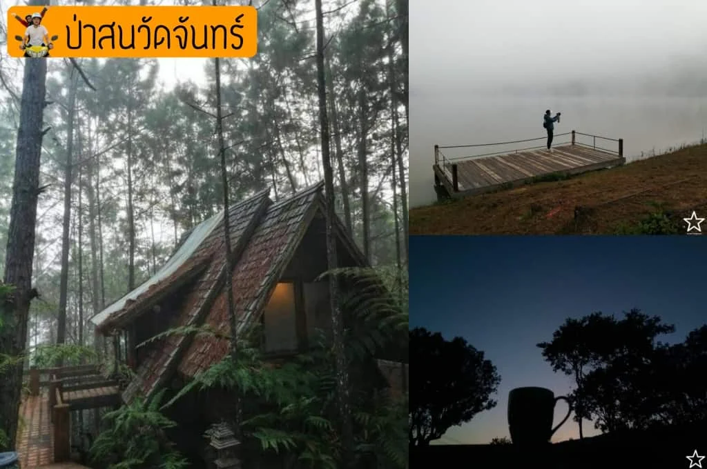 สุขสันต์วันโสด สุขสันต์วันโสด