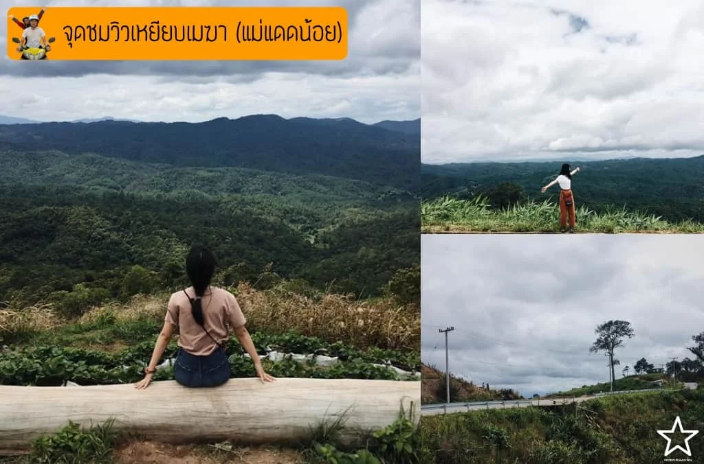 สุขสันต์วันโสด สุขสันต์วันโสด