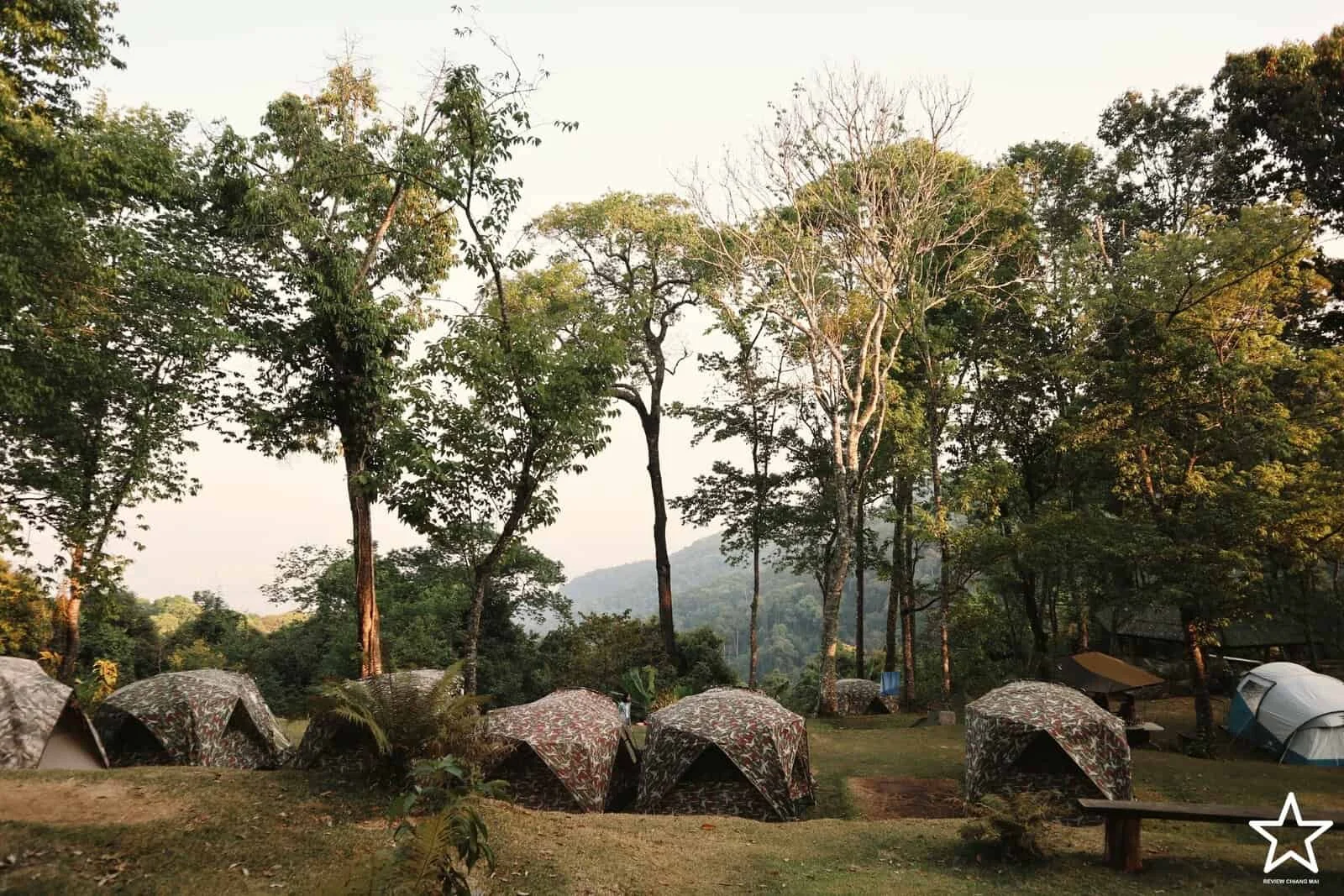 ลานกางเต็นท์ดอยปุย