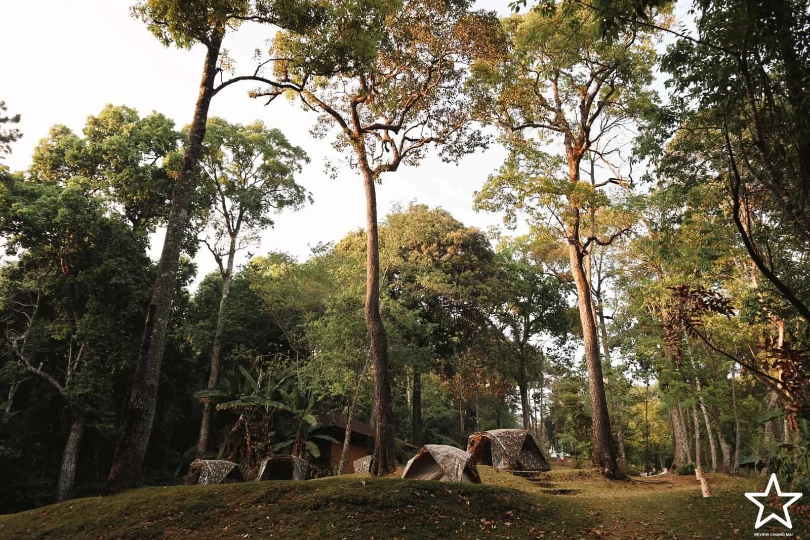 ลานกางเต็นท์ดอยปุย