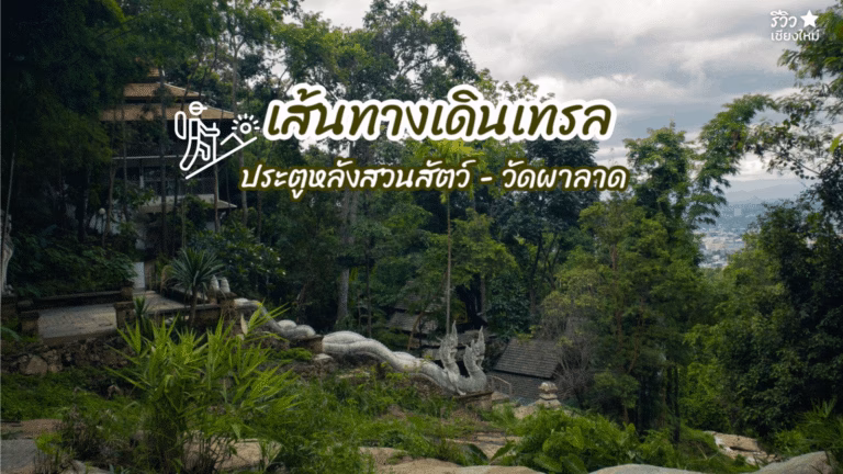 เส้นทางเดินเทล
