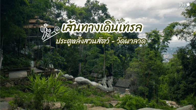 เส้นทางเดินเทล
