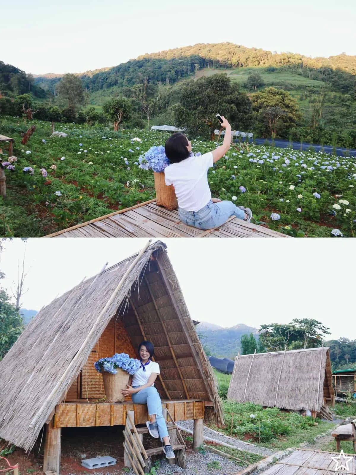 ที่พักในเชียงใหม่ ที่พักในเชียงใหม่