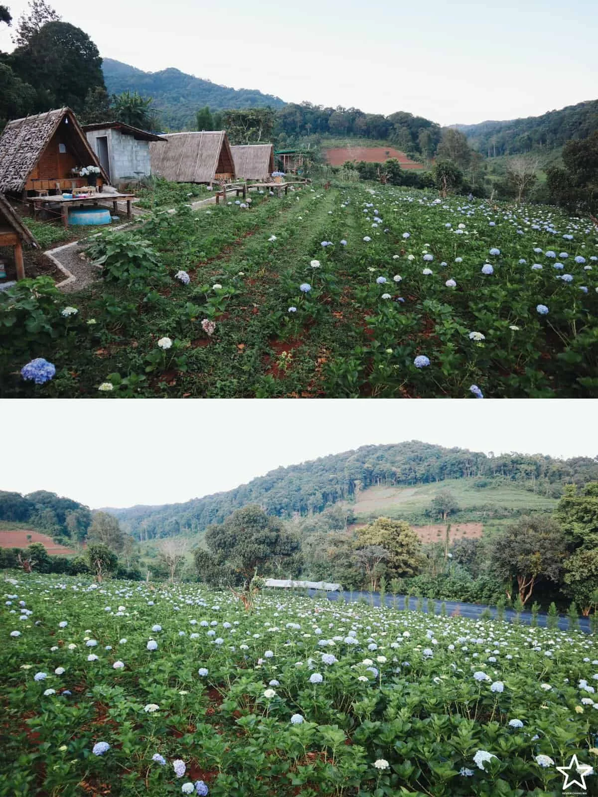 ที่พักในเชียงใหม่ ที่พักในเชียงใหม่