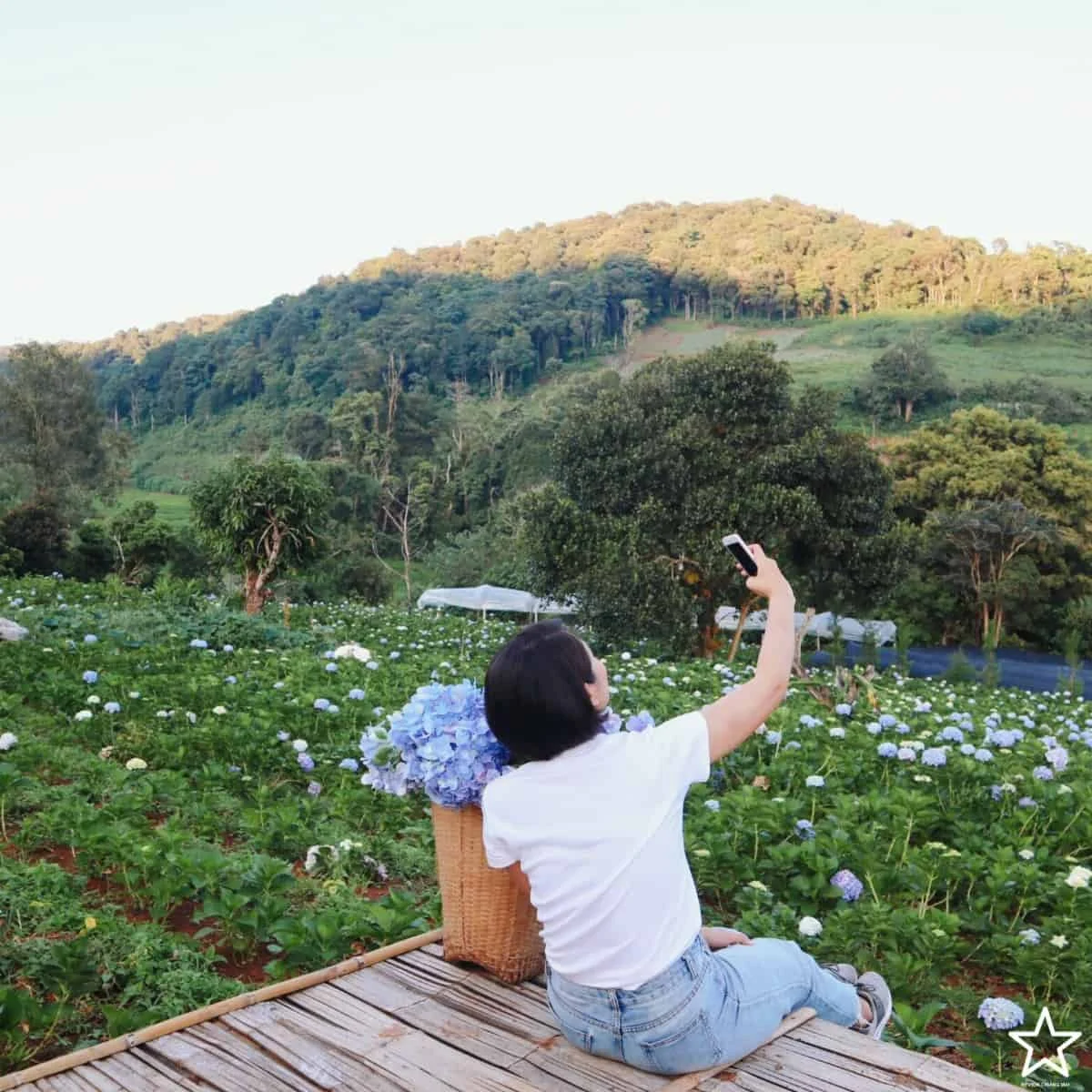 ที่พักในเชียงใหม่ ที่พักในเชียงใหม่