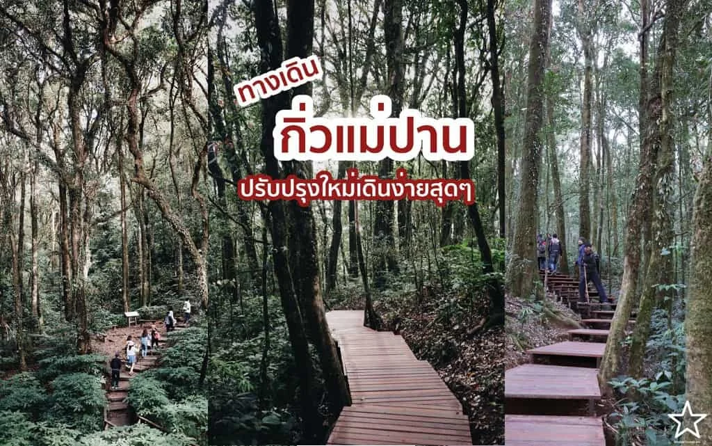 เหมยขาบ ดอยอินทนนท์ เหมยขาบ ดอยอินทนนท์