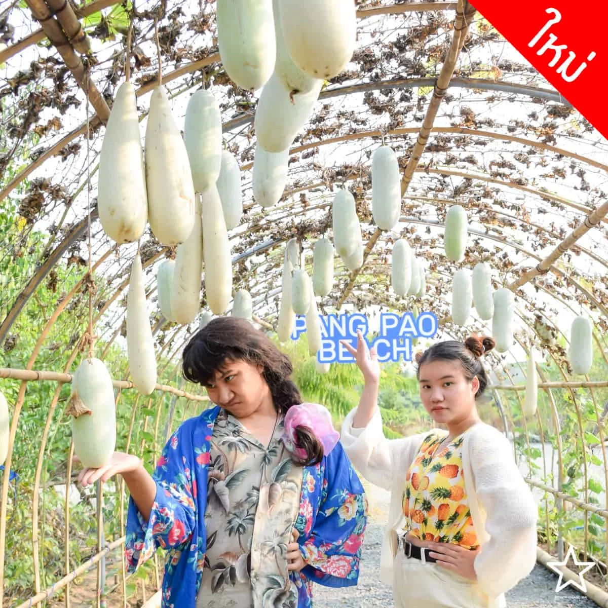 ปางเปา บีช ปางเปา บีช