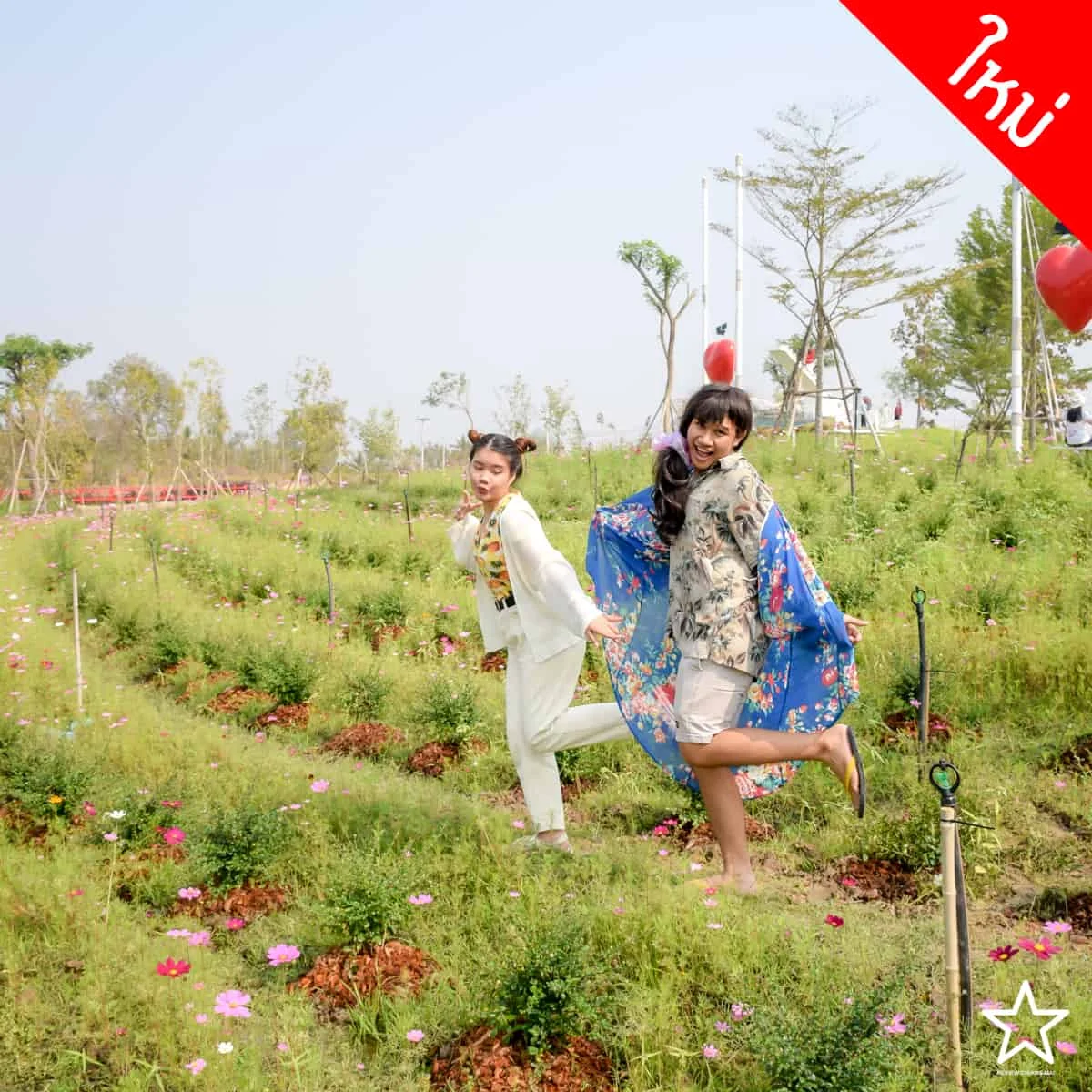 ปางเปา บีช ปางเปา บีช