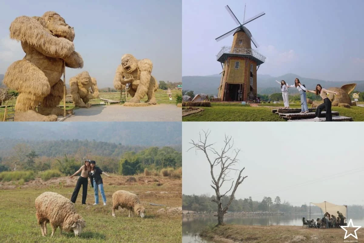 ที่เที่ยวเชียงใหม่ ที่เที่ยวเชียงใหม่