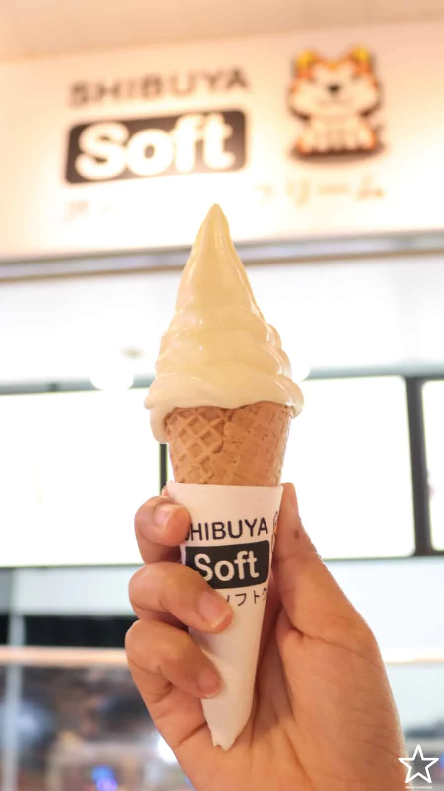 ร้านไอติม เชียงใหม่ ร้านไอติม เชียงใหม่
