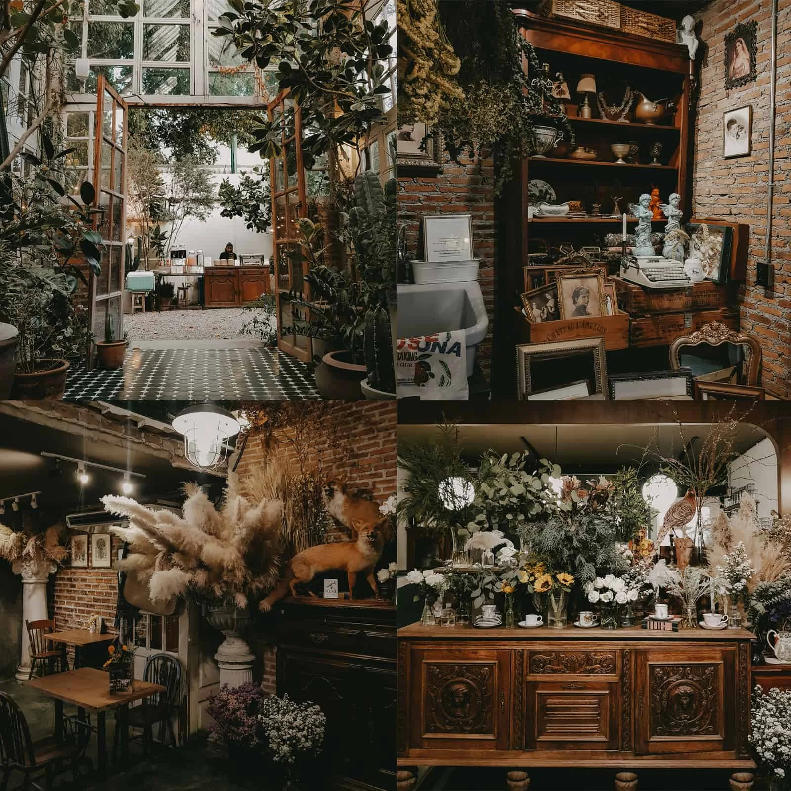 10 กาแฟเมืองนอก