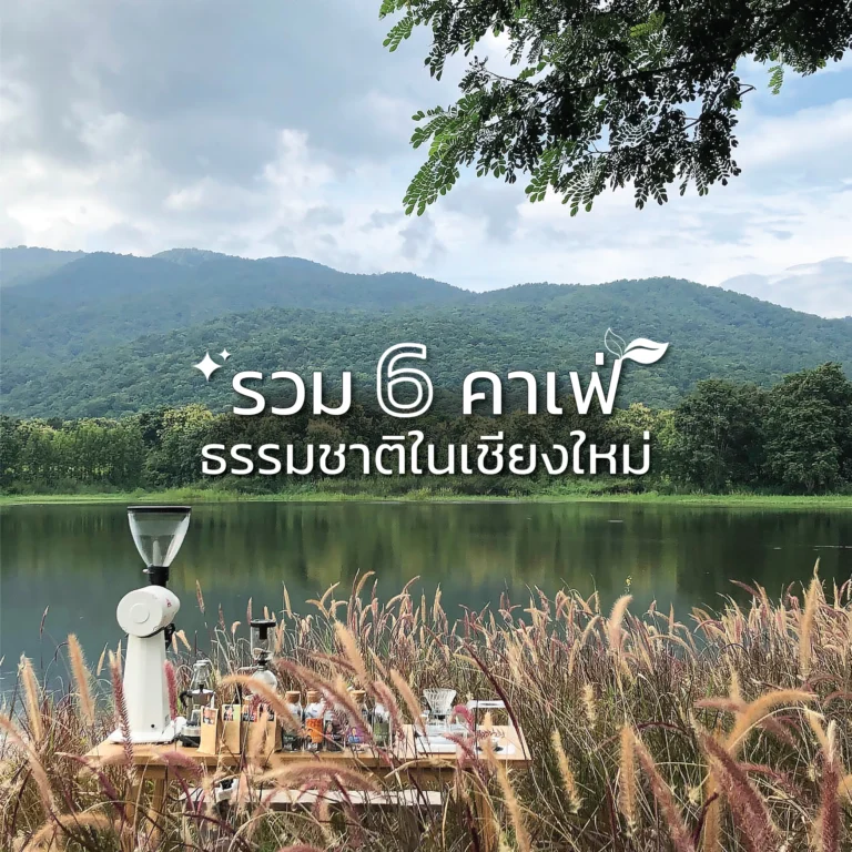 รวม 6 ร้านคาเฟ่ธรรมชาติ ในเชียงใหม่