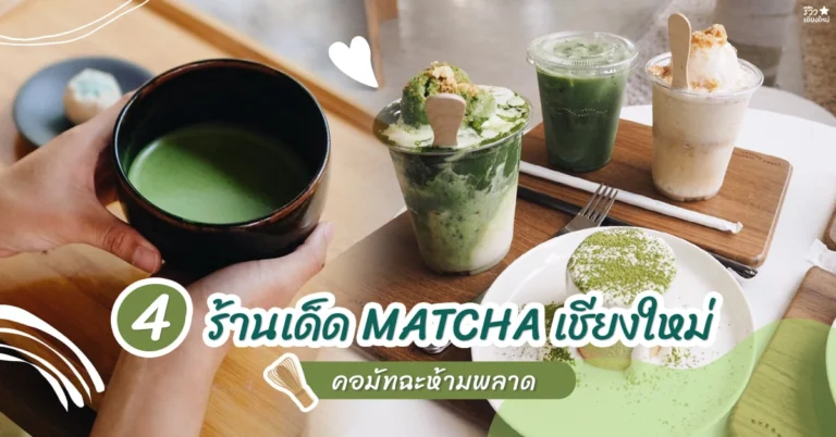 มัทฉะ เชียงใหม่