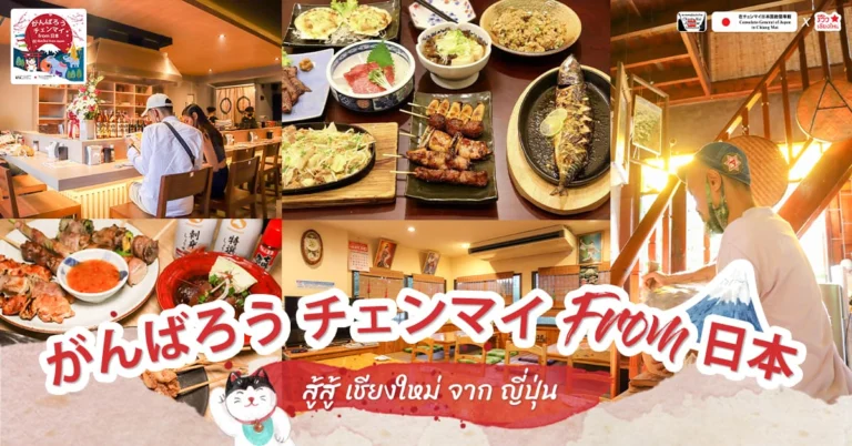 สู้สู้ เชียงใหม่ จาก ญี่ปุ่น