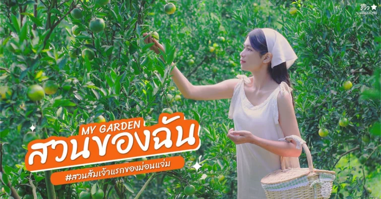 สวนของฉัน MY GARDEN