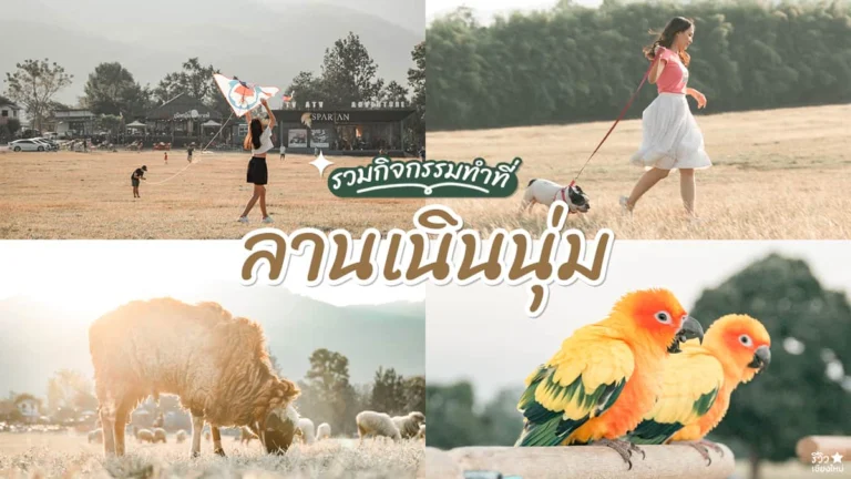ลานเนินนุ่ม