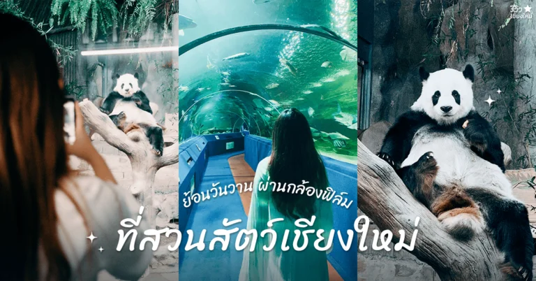 สวนสัตว์เชียงใหม่