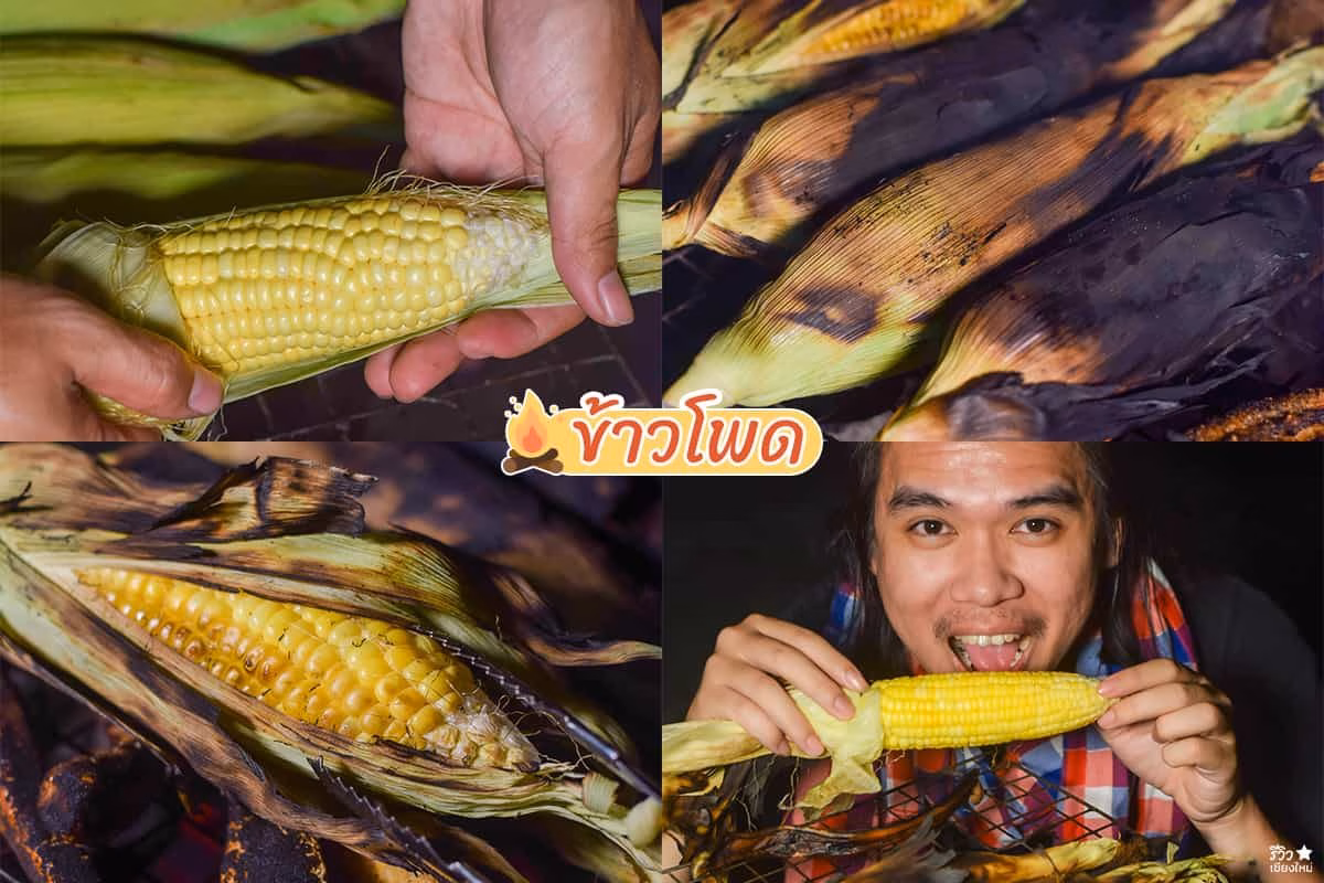 ข้าวโพด