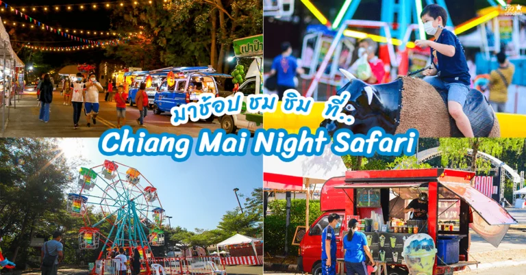 ช้อป ชม ชิม ที่ Chiang Mai Night Safari