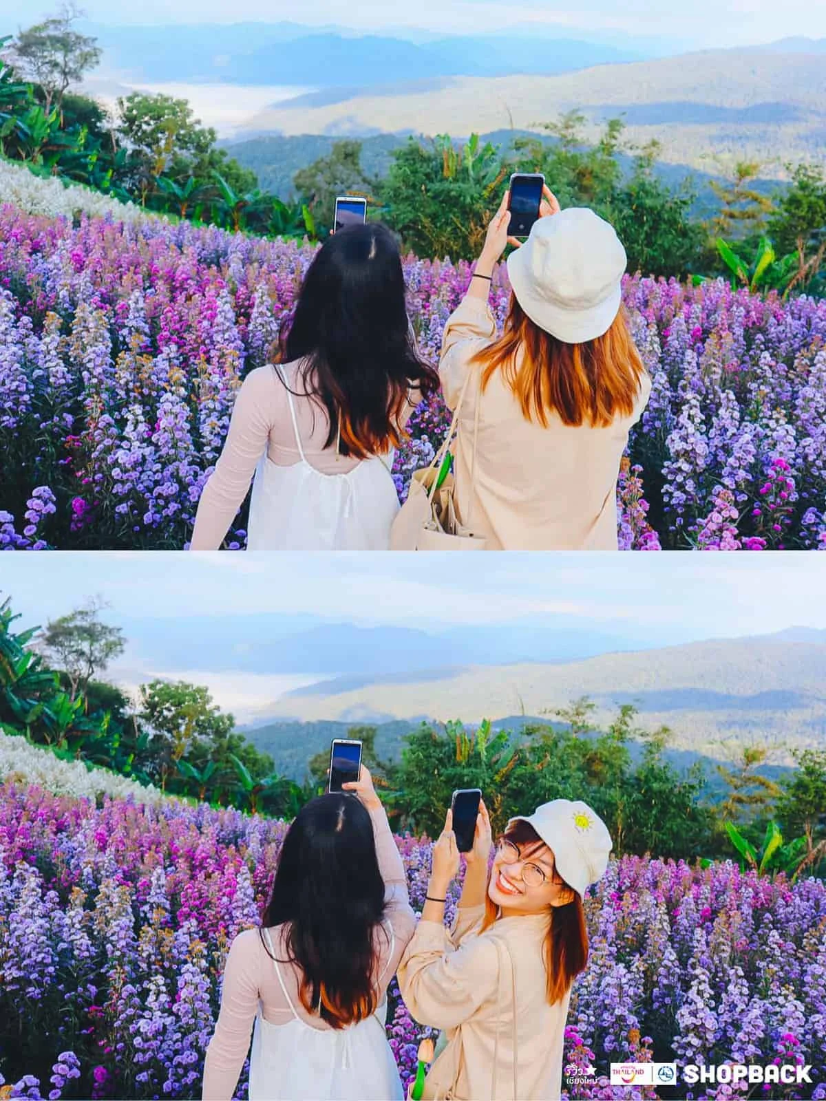 สวนดอกไม้ สวนดอกไม้