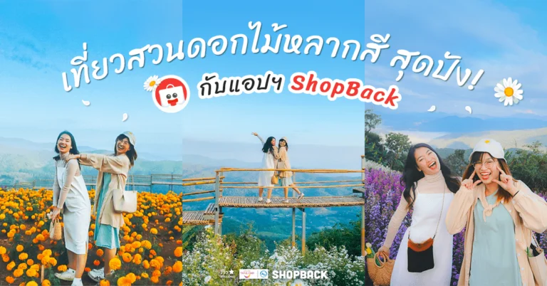 สวนดอกไม้