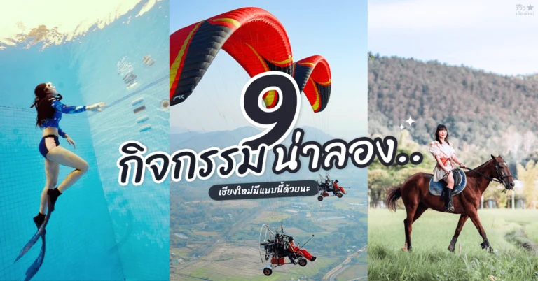 กิจกรรมเชียงใหม่