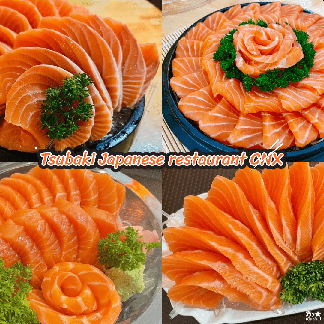 ร้านแซลมอน เชียงใหม่