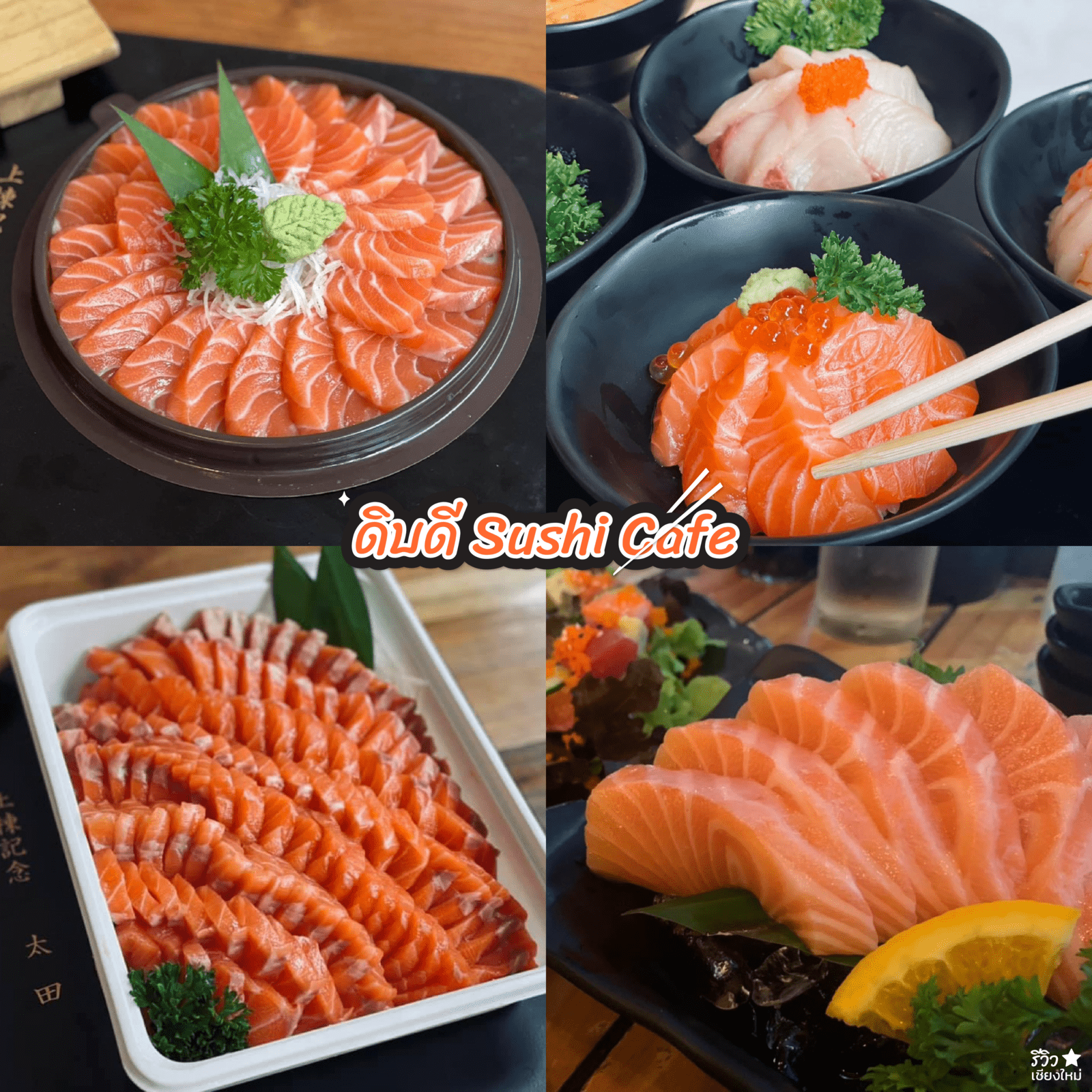 ร้านแซลมอน เชียงใหม่