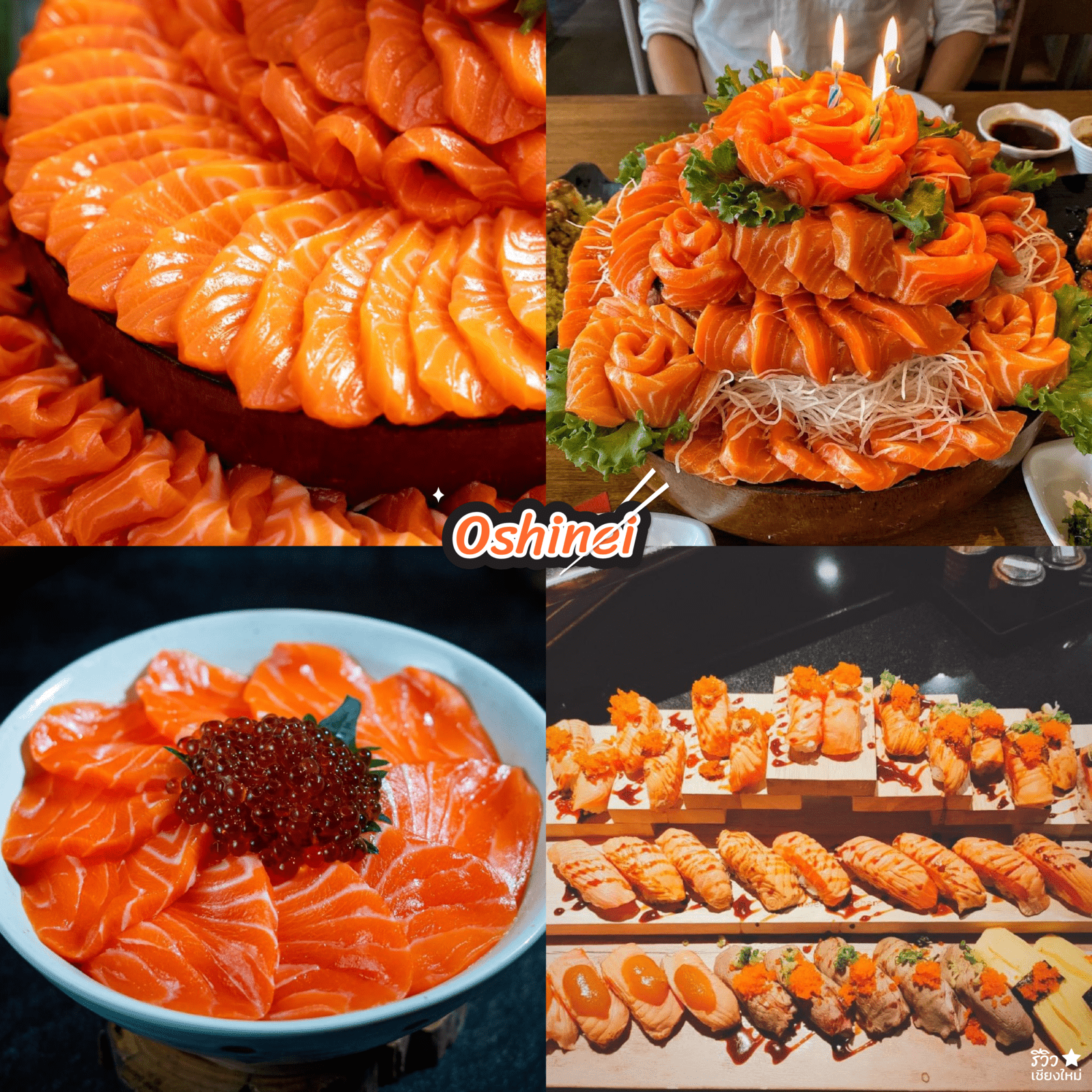 ร้านแซลมอน เชียงใหม่