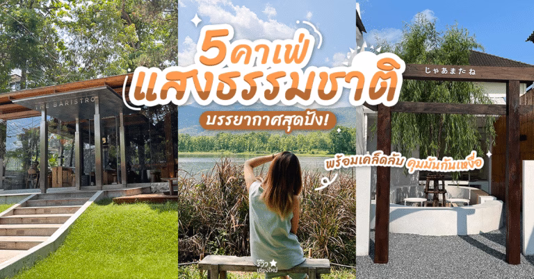 คาเฟ่แสงธรรมชาติ