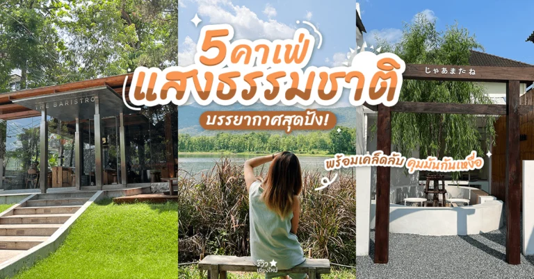 คาเฟ่แสงธรรมชาติ